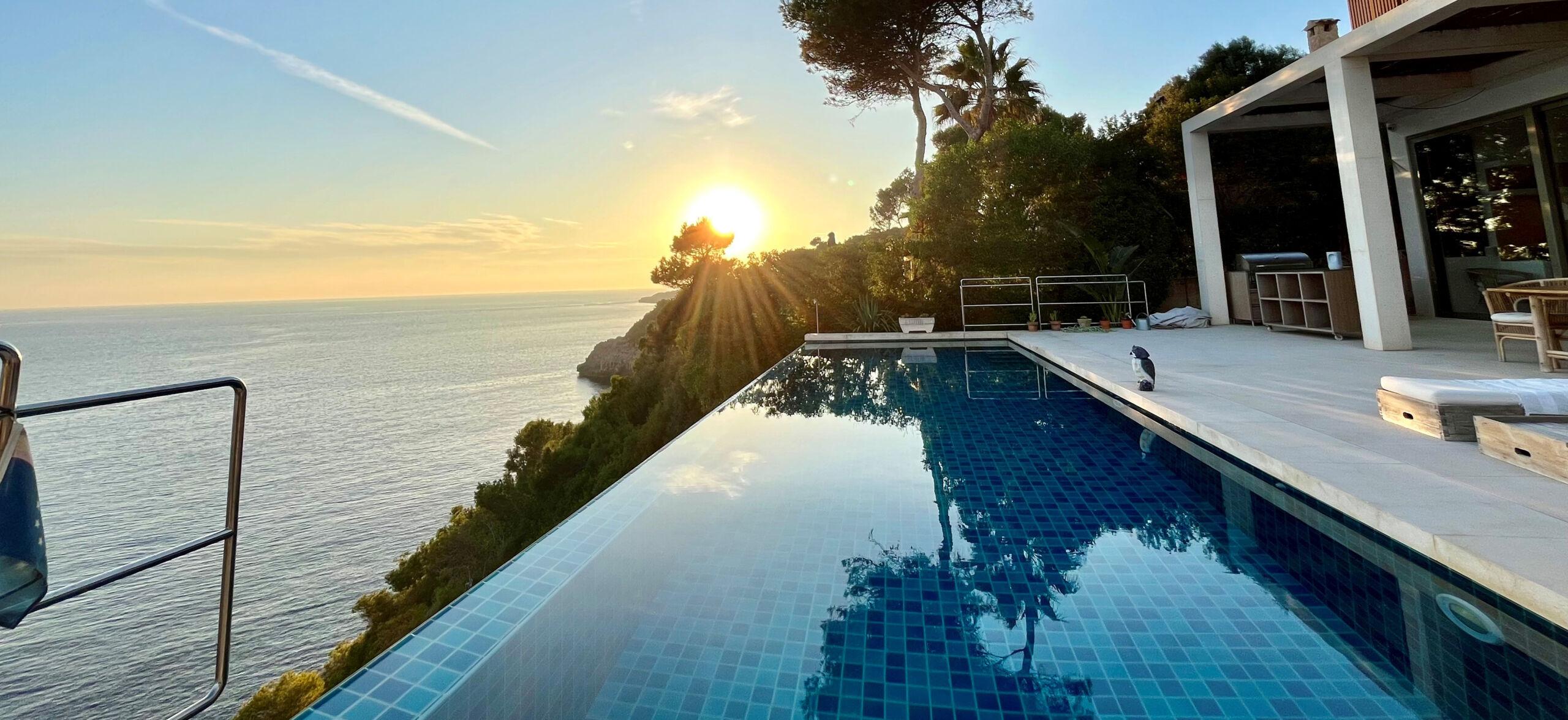 reset coaching lebensvision neustart